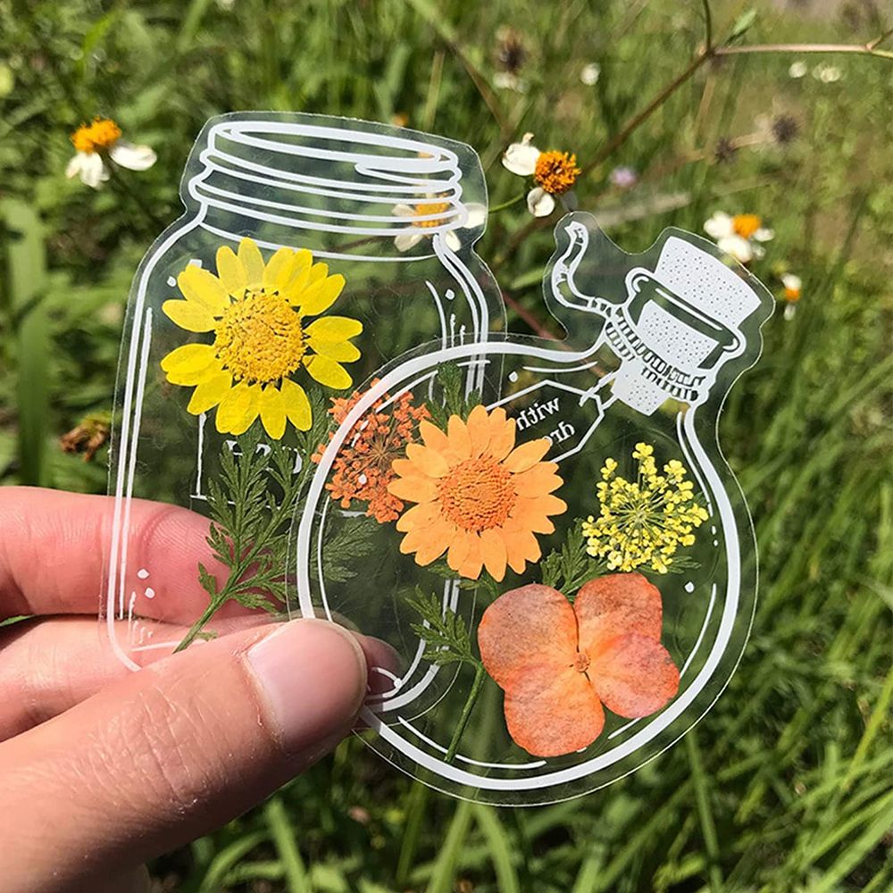 30Pcs DIY Transparent Dried Fl - Dried Flower Bookmark recensie en prijs