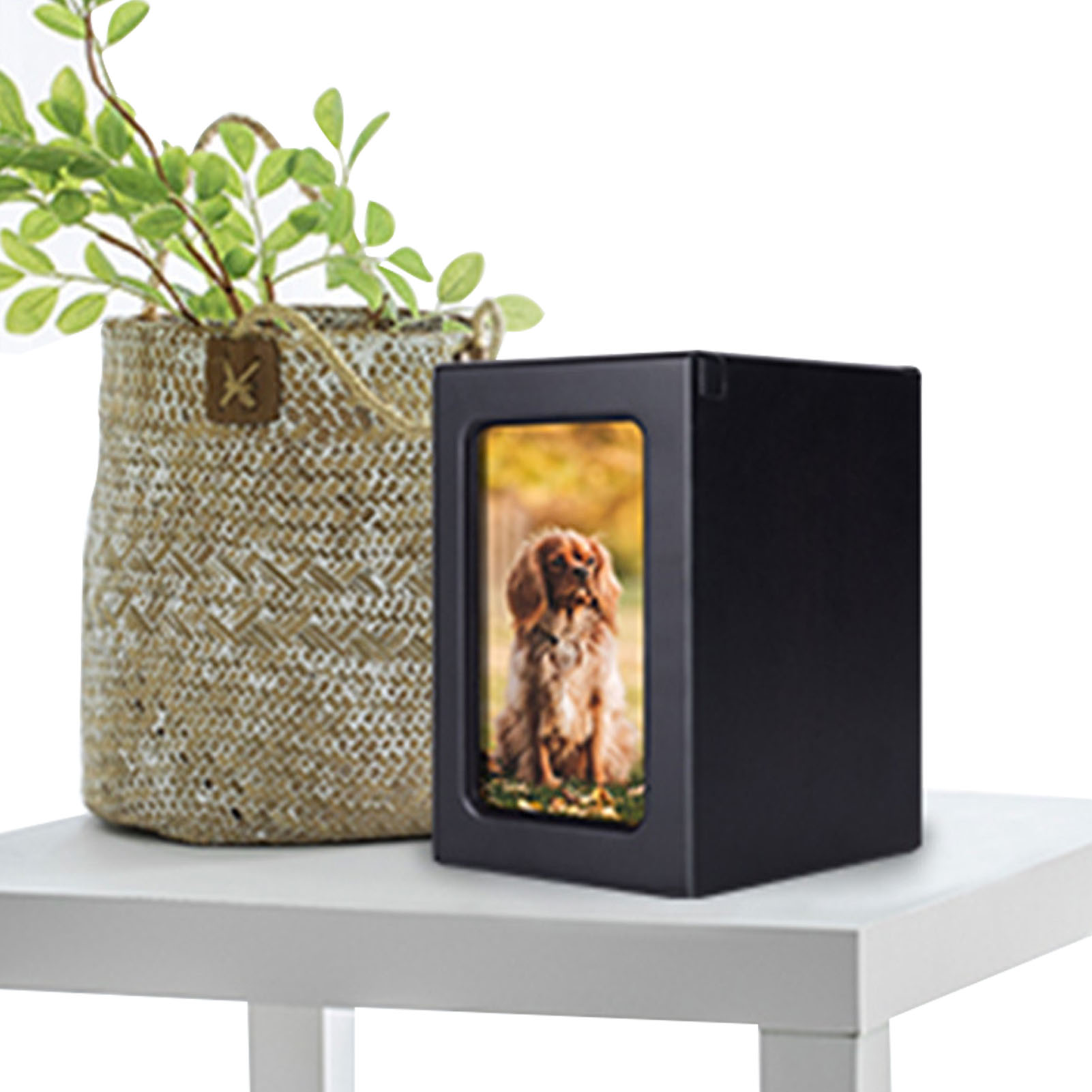 Wooden Pet Urns Wooden Cremati - Engraved Wood Frame recensie en prijs