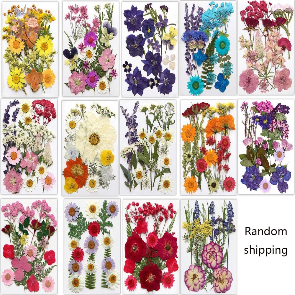 Handmade Pressed Dried Flowers - Dried Flower Bookmark recensie en prijs
