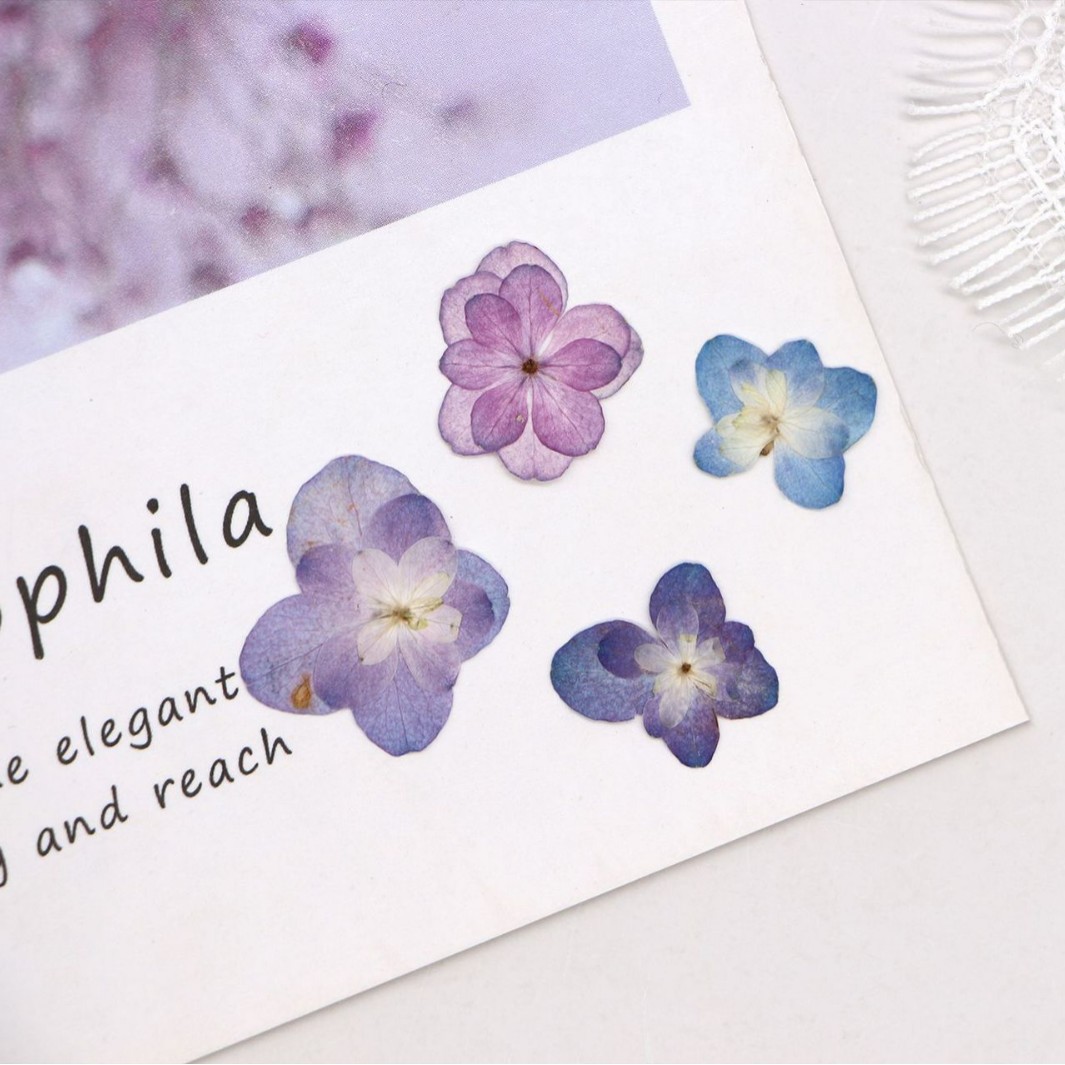 60Pcs Mini Double-Flowered Hyd - Dried Flower Bookmark recensie en prijs