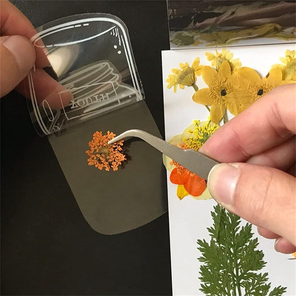 30Pcs Transparent Dried Flower - Dried Flower Bookmark recensie en prijs